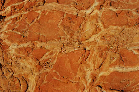 The orange color of lands in the dry south Italyの写真素材