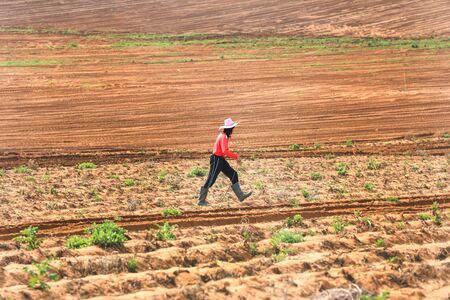 Farm Worker in the middle of a large agricultural field.の写真素材