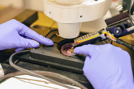 Scientist hand making Laboratory research.