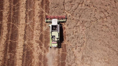 Aerial view of wheat harvest. Drone shot flying over modern combine harvester collects ripe wheat.の写真素材