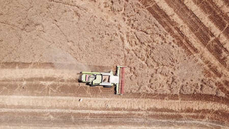 Aerial view of wheat harvest. Modern combine harvester collects ripe wheat.