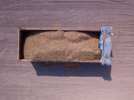 Trailer loaded with Almonds in shell freshly collected in an agricultural field. Aerial image.