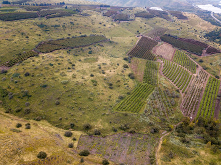 Mountain landscape at spring in the Golan heights, Israel.の写真素材