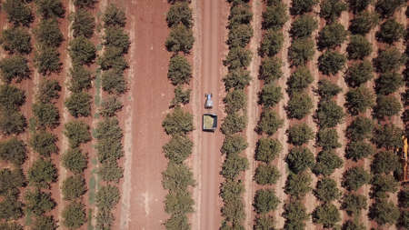 Blue Tractor and loaded trailer crossing agriculture tree field.の写真素材