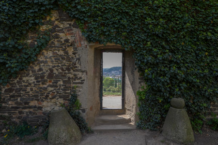 A charming doorway, wrapped in green ivy, invites visitors to enjoy a splendid view of lush landscapes beyond.の写真素材