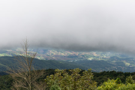 Mountain Landscape Surrounded by Lush Green Forest.の写真素材