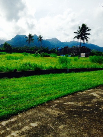 this is the mountain range several thousand kilometers longの写真素材