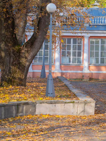 golden autumn in Moscow's Vorontsov Parkの写真素材