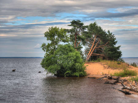 The coast of the Asaf Islands on the Volga River of the Nizhny Novgorod region in summerの写真素材