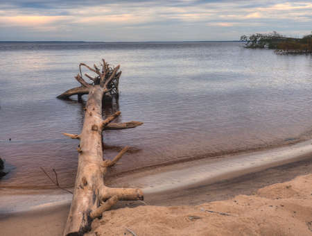 The coast of the Asaf Islands on the Volga River of the Nizhny Novgorod region in summerの写真素材