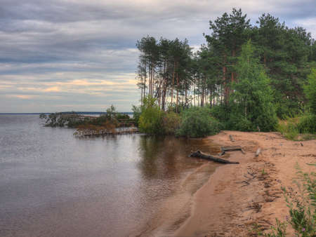 The coast of the Asaf Islands on the Volga River of the Nizhny Novgorod region in summerの写真素材