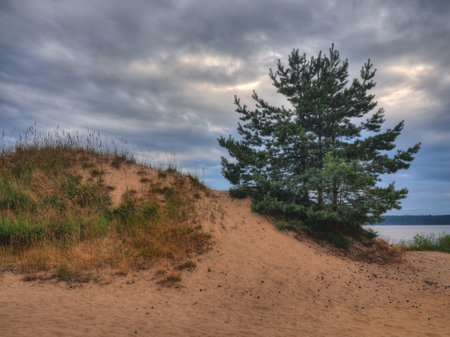 The coast of the Asaf Islands on the Volga River of the Nizhny Novgorod region in summerの写真素材