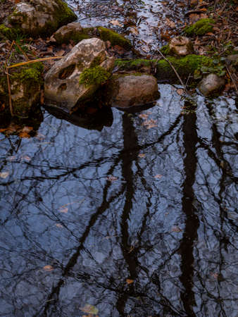 the shore of the pond with stones and reflection in the water in autumnの写真素材