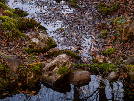 the shore of the pond with stones and reflection in the water in autumnの写真素材