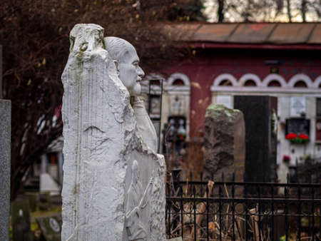 Novodevichy Cemetery in Moscow, monument and grave, sculpture, face in stone, work of artのeditorial素材