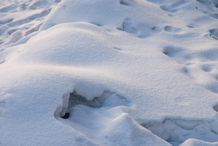 after snow in winter, China