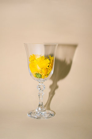 Retro arrangement of a sunlit glass filled with yellow dandelion flowers. Minimalistic floral concept, simple stylish lay out.の写真素材