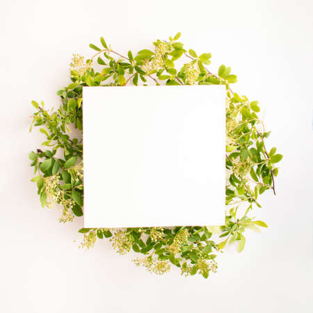 Minimalistic flat lay copy space concept with bright green leaves and a white card. Modern summer...