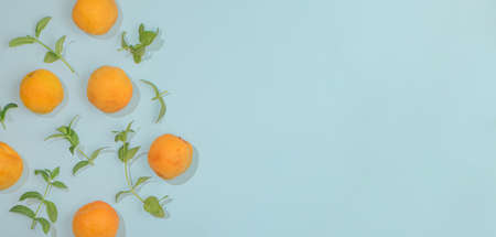 Creative summer fruit flat lay idea with fresh organic apricot, peach and mint leaves on pastel bright blue background. Minimalistic copy space arrangement, colorful top view concept.の写真素材
