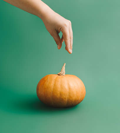 Creative 2021 Halloween and autumn idea with a womanâs hand picking up or dropping pumpkin. Moody green background, minimal arrangement.の写真素材
