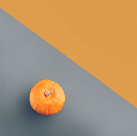 Minimal autumn and Halloween visual concept with fresh pumpkin on grey and orange background. Creative food, celebration and craft idea, aesthetic geometric composition.の写真素材