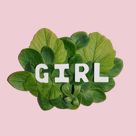 Beautiful gender reveal idea, natural floral concept. Pastel pink background, fresh green leaves and word girl. Minimal visual flat lay composition.の写真素材