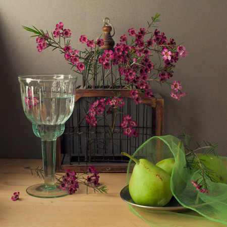 Still life with bird cage and pearsの写真素材