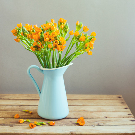 Orange flowers in blue jug on wooden tableの写真素材