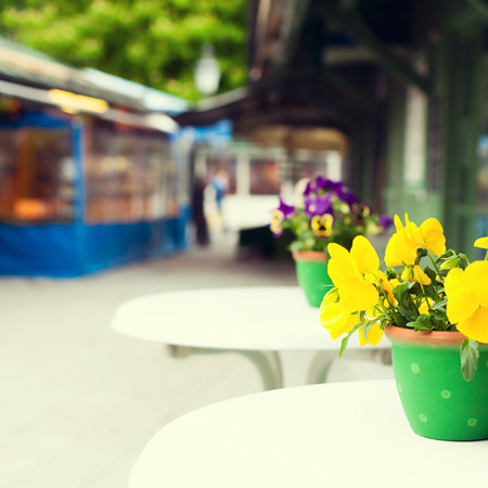 Flower pot on table over bokeh backgroundの写真素材