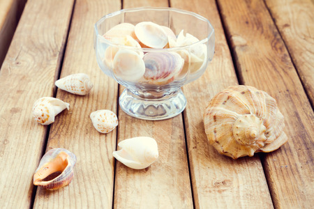 Seashells over wooden backgroundの写真素材