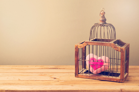 Valentine's day background with bird cage and heart shapeの写真素材