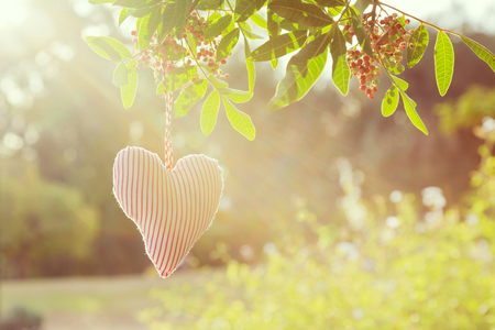 Valentine's day nature background with heart shapeの写真素材