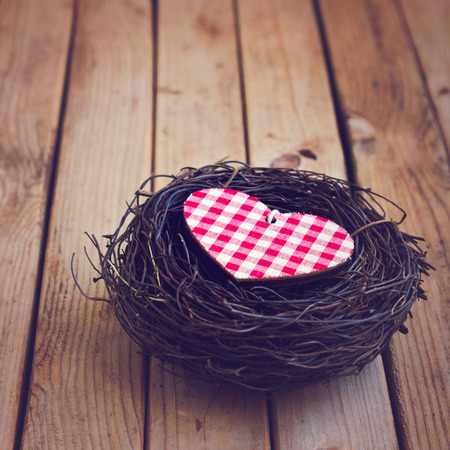 Heart shape in bird nest