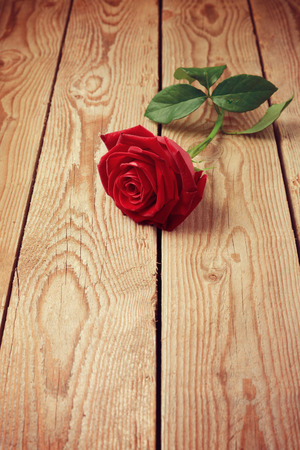 Rose on wooden backgroundの写真素材