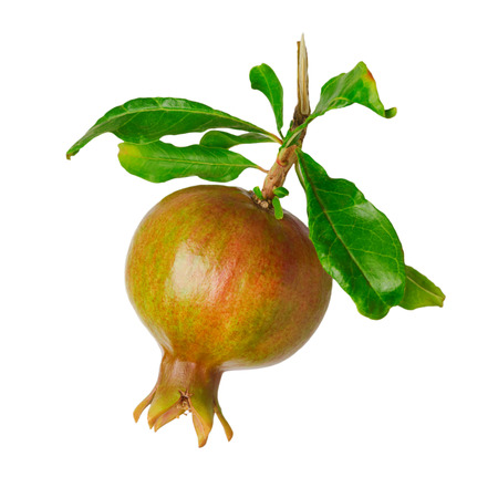 Pomegranate isolated on white backgroundの写真素材
