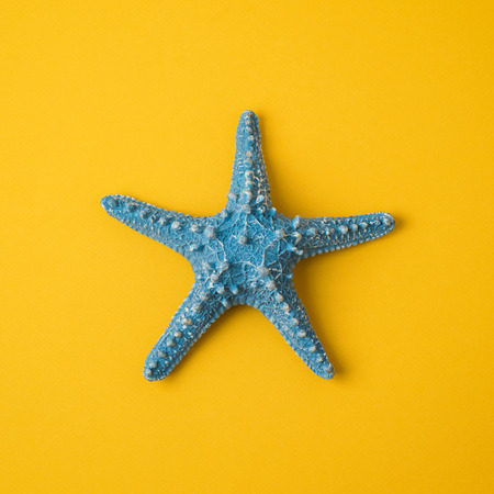 Minimal summer concept. Blue starfish over yellow background. View from aboveの写真素材