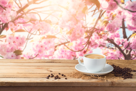 Coffee cup with coffee beans on wooden table over blossom cherry tree blurred background with copy space. Spring conceptの写真素材