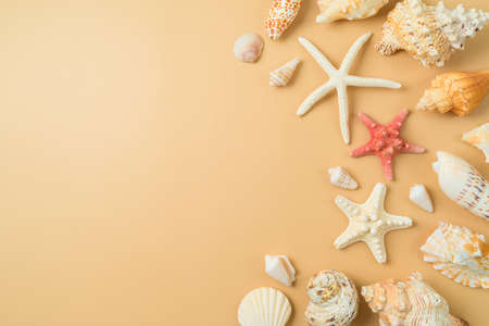 Summer vacation background with with seashell and starfish. Flat lay compositionの写真素材