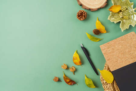 Stylish desk with notebook and autumn leaves on green background. Back to school concept. Top view, flat layの写真素材
