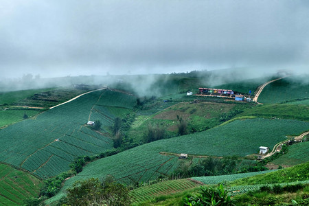 Farming on the hill