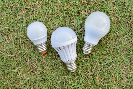 LED Bulbs - on the green grass