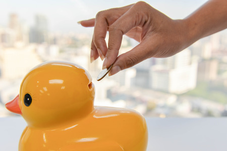 Inserting the coin to duck piggy bankの写真素材