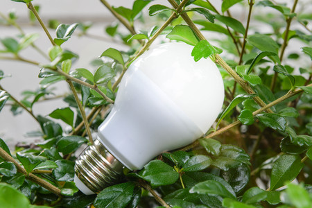Lighting of LED bulb - Eco friendly