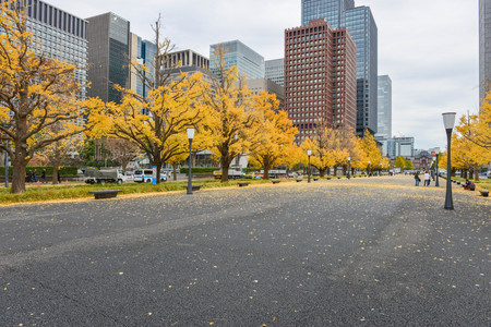 December 2016 in Tokyo Japan - Ginkgo leaves change color at Tokyo stationのeditorial素材