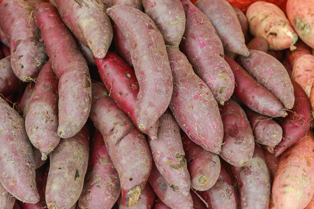 A lot of yam as the backgroundの写真素材