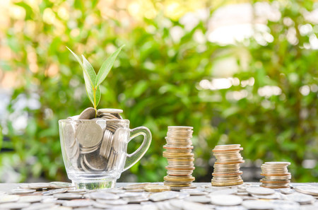 Growing coins stacks and coins in the glass with growing plant for concept of saving moneyの写真素材