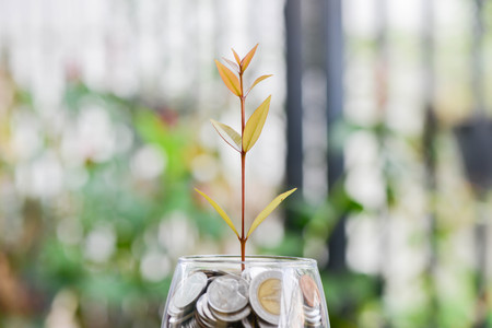 Plant is growing from saving money for saving money conceptの写真素材