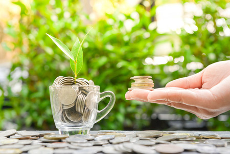 Woman hand putting the coin in the glass with growing plant and sun light - Concept of saving money3の写真素材