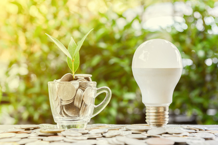 LED bulb with growing plant in the glass and warm sun light for concept of saving energyの写真素材