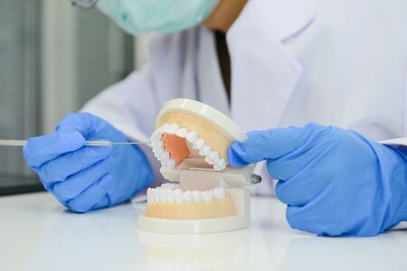 Doctor is demonstrating dental treatment with tooth modelの写真素材